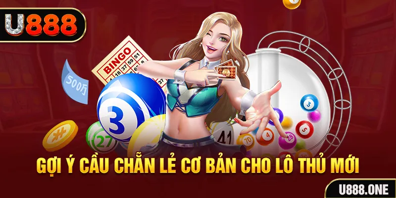 ee8801 what is a casino comp program
