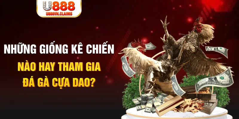 ee8801 tỷ lệ cá cược 1×2 trong bóng đá có nghĩa là gì？