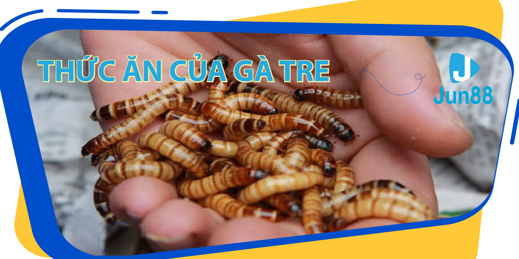 ee8801 trực tiếp xổ số miền bắc