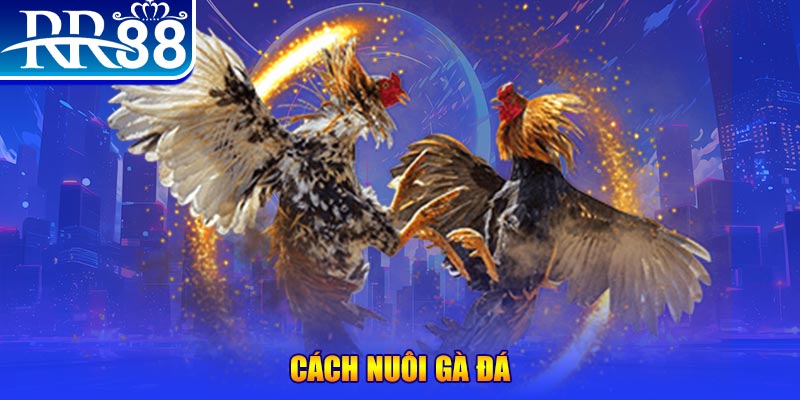 ee8801 game nổ hũ là game gì