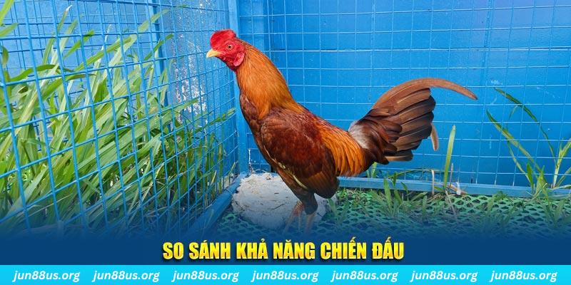ee8801 xổ số miền bắc thứ năm hàng tuần