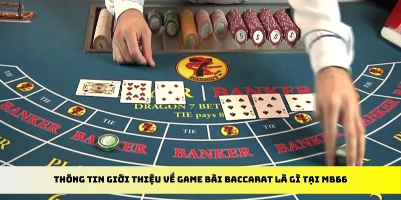 ee8801 cá cược thể thao trực tuyến kto