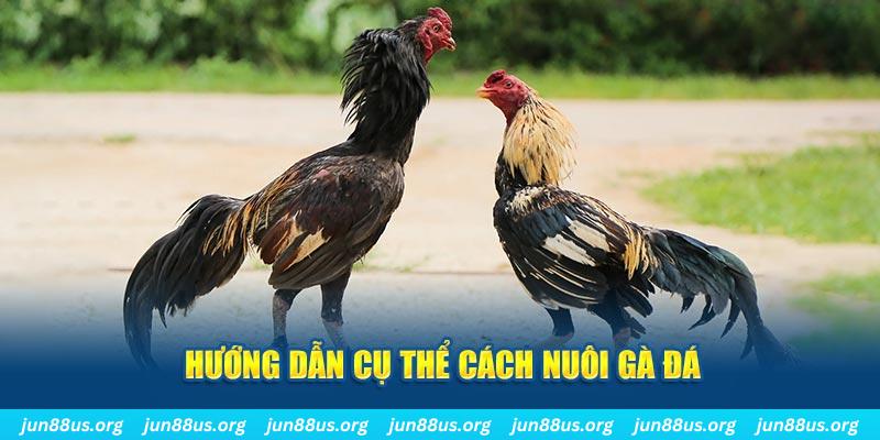 xổ số thứ bảy hàng tuần