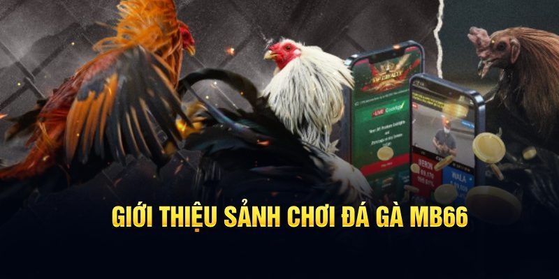 ee8801 what are the most popular casino games